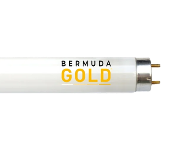 Lampy Bermuda Gold EU7 160 W R