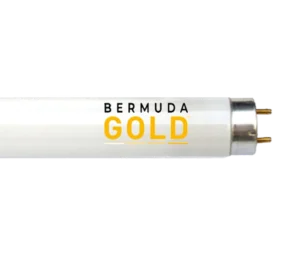 Lampy Bermuda Gold EU8 180 W R
